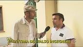 Falso ingegnere II