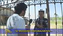 La zoodenuncia di Edoardo Stoppa