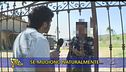 La zoodenuncia di Edoardo Stoppa
