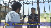 La zoodenuncia di Edoardo Stoppa