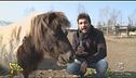 Gli animali chiamano, Stoppa risponde!