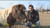Gli animali chiamano, Stoppa risponde!