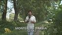 Ritorno a Monteroni D'Arbia