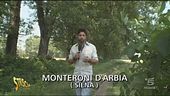 Ritorno a Monteroni D'Arbia