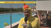 Per salvare le palme