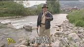 Morello Jones...