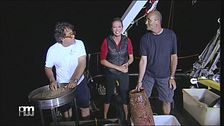 Pescando a Martinsicuro