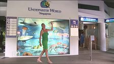 Underwater World