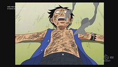 Ep. 8 - Rubber atterra ad Amazon Lily