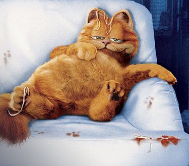 Garfield il supergatto