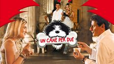 Un cane per due