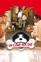 Un cane per due