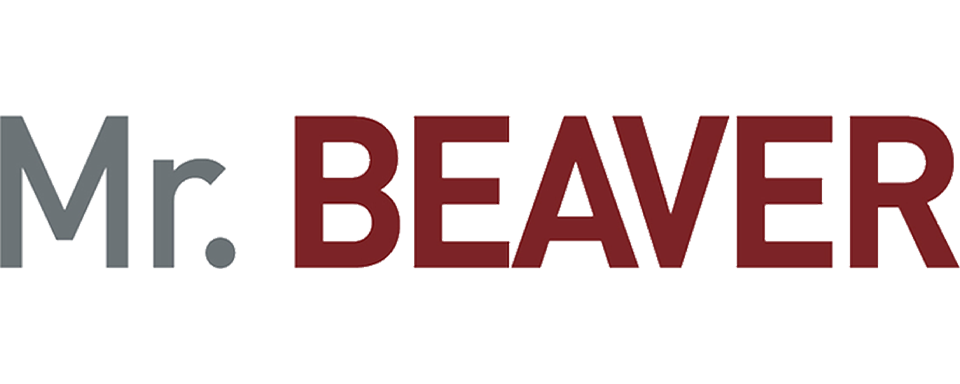 Mr. Beaver - Film Mediaset Infinity
