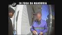 GOLIA: In fuga da Manduria
