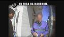 GOLIA: In fuga da Manduria