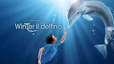 L'incredibile storia di Winter il delfino