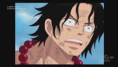 Ep. 14 - L'arrivo di Cappello di Paglia