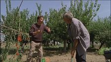 Episodio 16 - Il sapore del perdono
