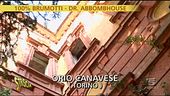 Il dottor BombHouse