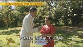 Anomalia previdenziale