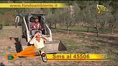 Fondo Ambiente
