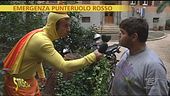 Lo sturaingiustizie contro il maledetto palmifago