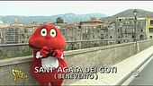 Tutto in uno