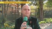 Assicurazioni da asporto