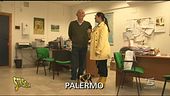 Un scuola malconcia