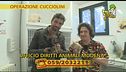 Cuccioli in condizioni terribili