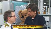 Babbo Staffelli e la sua slitta trainata da tapiri
