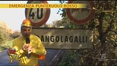 Capitan Ventosa contro il Punteruolo rosso