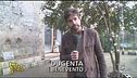Un'anziana sola con i suoi animali