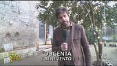 Un'anziana sola con i suoi animali