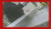 Sedicente veterinario