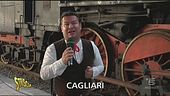 Un cinghialotto in treno