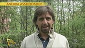 Assenteismo e lavoro
