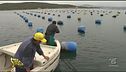 Pescatori
