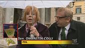 Maroni nella bufera