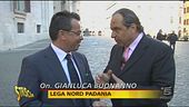 Il puntuale e puntuto Vespone