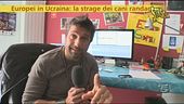 Randagismo in Ucraina