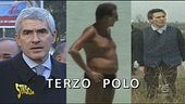 Il superamento del Terzo polo