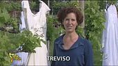 Occhio allo spreco
