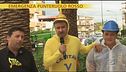 Contro il killer delle palme