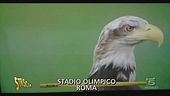 L'aquila della Lazio