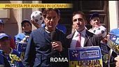 Animalisti in rivolta contro lo sterminio dei randagi