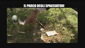 PELAZZA: Il parco degli spacciatori