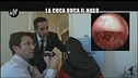 VIVIANI: Lesioni da cocaina