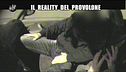 ROMA: Reality del provolone