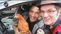 MATANO: Gallina Marta